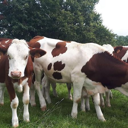 Gite A La Ferme, Avec Animaux, Fromages Et Nature Neuville-les-Decize Exterior foto